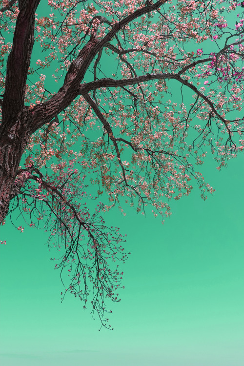 Photography By Peter Solarz