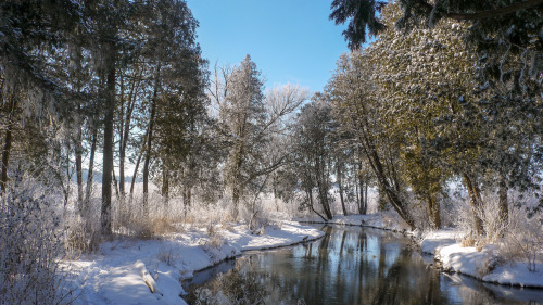 Salmo Pond, WI1 February 2021