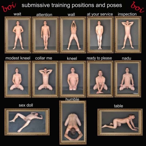are-you-ready-2-submit - Subs…learn the poses for your Superior’s different needs.