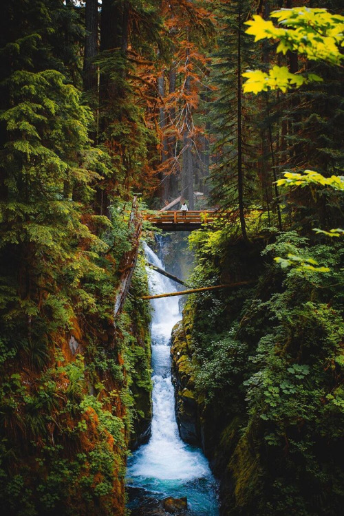 “Abiqua Falls X Sol Duc Falls “ By | Jake Guzman