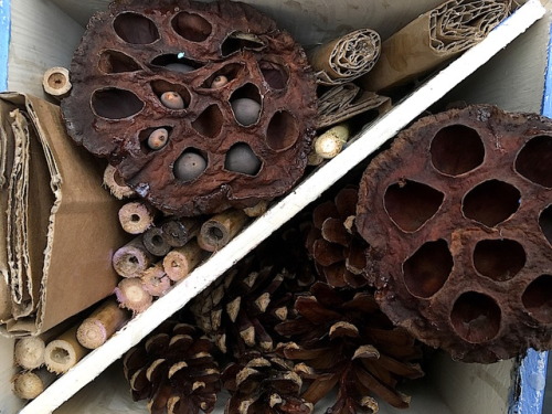 ‘Inside Outside’ / Week OneLead Artist: Decorating and filling insect hotels and bug boxes in 