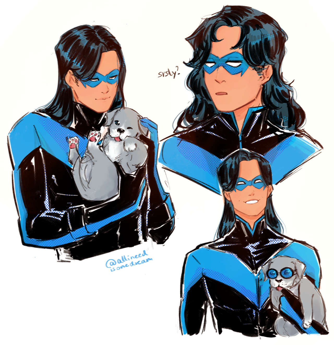 Holy Too Many Fandoms Batman! — allineedisonedream: Nightwing with long hair!?  ...