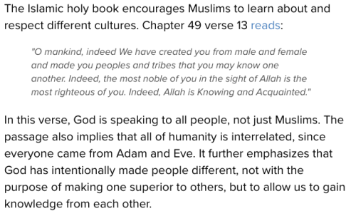 the-movemnt: According to a 2015 YouGov poll, 28% of Americans have a “somewhat unfavorable view of Islam,” and 27% have a “very unfavorable view.” But 87% of Americans have never visited a mosque and an overwhelming majority don’t know a single