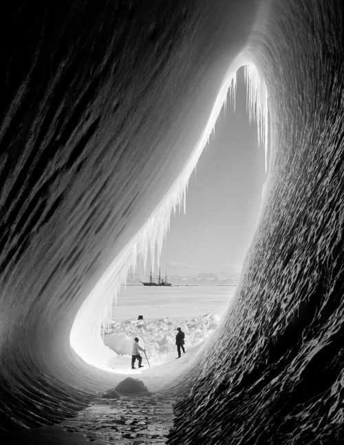 madelgard:1911 Terra Nova Expedition to Antarctica