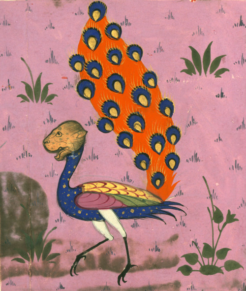 discardingimages:lion-headed peacockMuḥammad ibn Maḥmūd Ṭūsī, ʿAjāyib al-makhlūqāt va-gharāyib