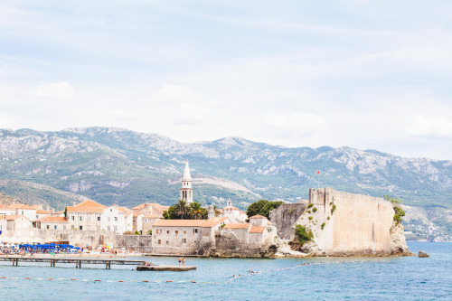 floralls: Budva, Montenegro  by  Rebecca Dale