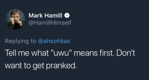 bisexual-beleren: rootbeergoddess: This man is a treasure   @wavy-arms MARK HAMILL SAID UWU RIGHTS 