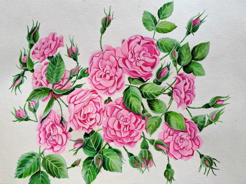 Roses, watercolors 12x18′’ by ZaiguuInstagram