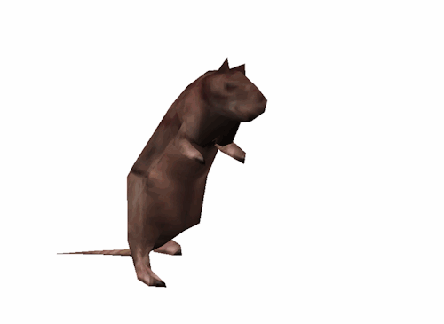 halflifegifs: dietkane: It exists BIG RAT HAS MATERIALIZED IN THE PHYSICAL WORLD