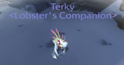 lobstmourne:  How To Get Terky! Step 1: Go to Riplash Ruins in Borean Tundra, coordinates [55, 88] Step 2: Dive into the water.  If you’re in the right spot, you’ll see some ruins and seaweed directly below you: Step 3: Look for the tunnel entrance.