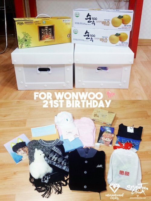 Our Wonwoo 21st Birthday Project in collaboration with SEVENTEENCHINA ended successfully. Our Korean