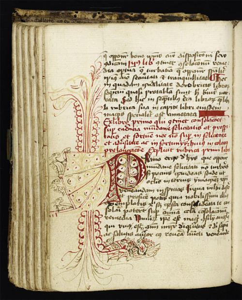 Other initials in Ms. Codex 614 are decorative albeit largely predictable&ndash; but the scribe 