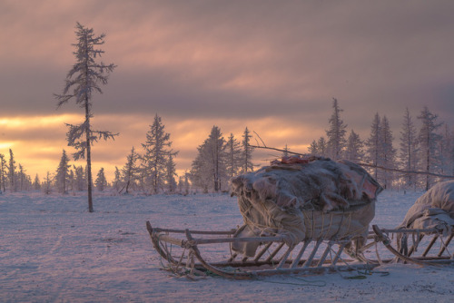 krasna-devica:Yamal, Siberia