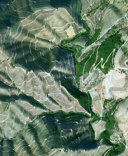 dailyoverview:Terraced hillsides are seen in the Douro Valley of northern Portugal. The steep slopes