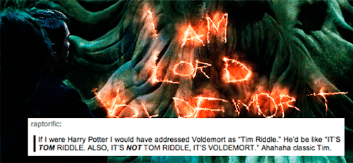 neuropath-ic: Harry Potter + Funny Tumblr Text Posts