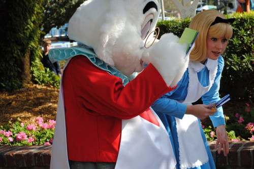 Alice and the White Rabbit on Flickr.