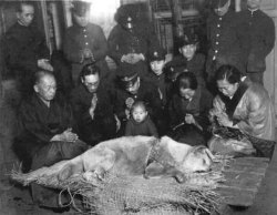 Dog Hachiko&rsquo;s funeral