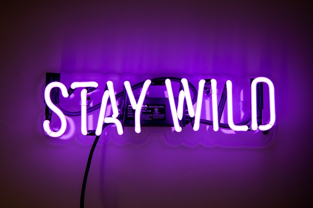 robautio:  Stay Wild