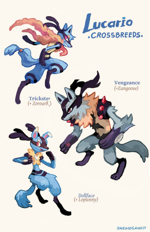 Remember these Riolu crossbreeds? This is how they look now, feel old yet?8^)You can find more cross