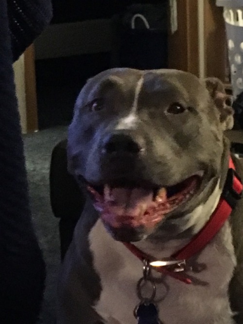 she just fucking tripped me