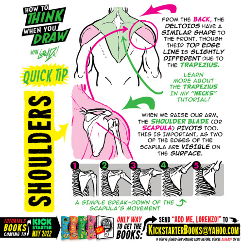 etheringtonbrothers: SHOULDERS! Tutorials BOOKS (inc. a special 3-BOOK “STARTER SET” for new collect