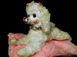 chival: Rushton Star Creation poodle. So cute! ^^ 