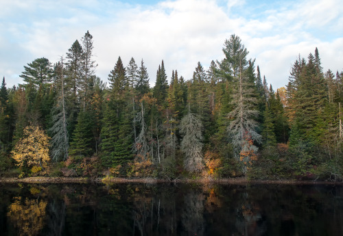 Muskoka RIver