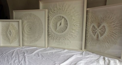 Rogan Brown paper microbes. The collection of both hand and laser-cut specimens are inspired by