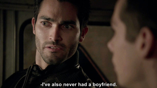 sterek