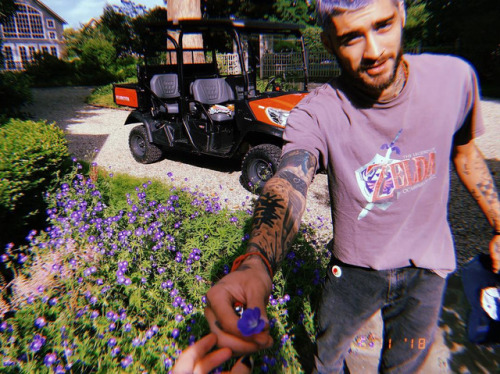 keepingupwithzayn:Zayn via instagram