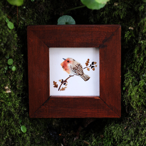 Oak gall, coal, brick, slate and alder inks, for this tiny winter Robin 