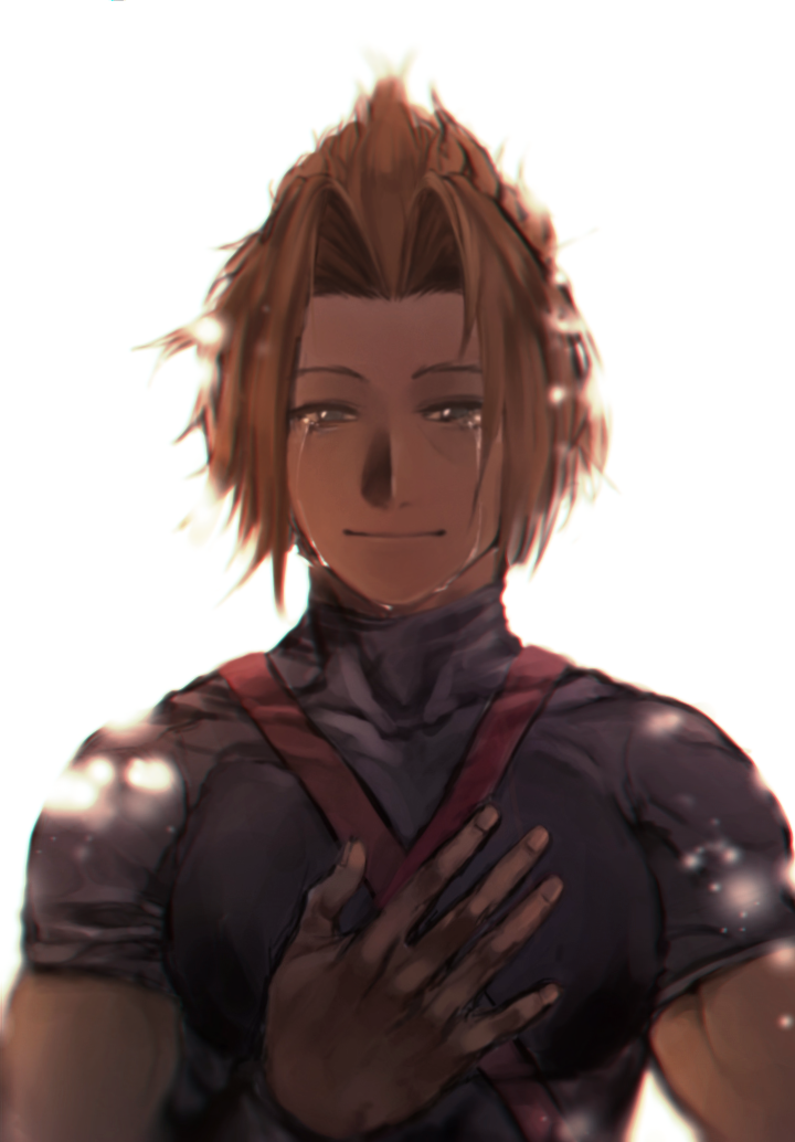 crowind1:  Terra - Kingdom hearts   *How did I live in a kingdom of thieves?* -