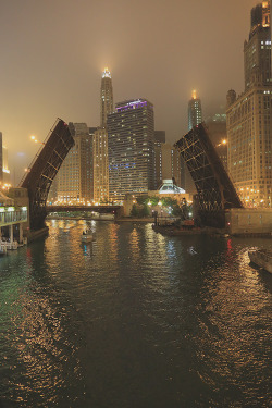 earthlycreations:  Chicago State Street Bridge