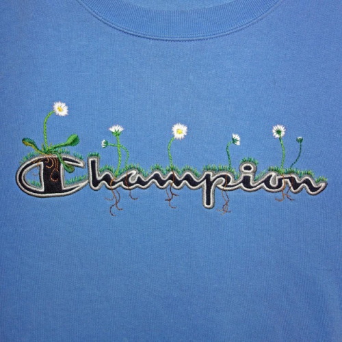 dwnsy:  James Merry’s Embroidery