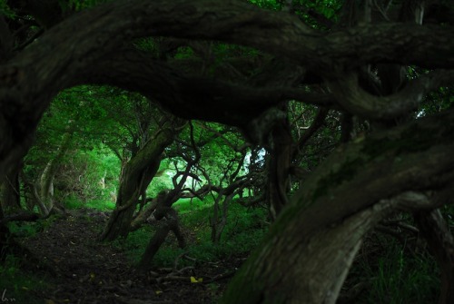 buron: 14th Undercliff Portal (xii) ©buron ‘14