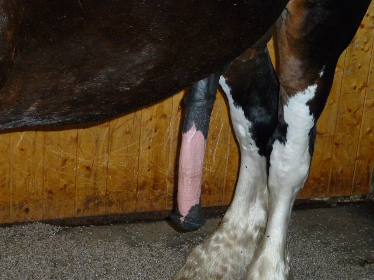 ukhorse:  mmmmmmmmmmmmmm very nice