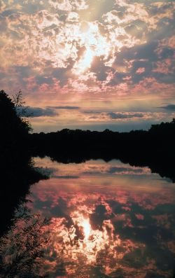 maya47000:  Time for reflection by Laurie