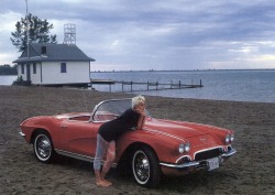 Corvettes & Silhouettes