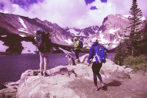 Brainard LakeDan DonnarummaInstagram l Tumblr  