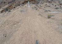 justpedalfaster:  Kelly McGazza - Backflip over the 72 ft canyon gap at Red Bull