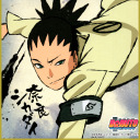 shikadaiwindandshadows avatar