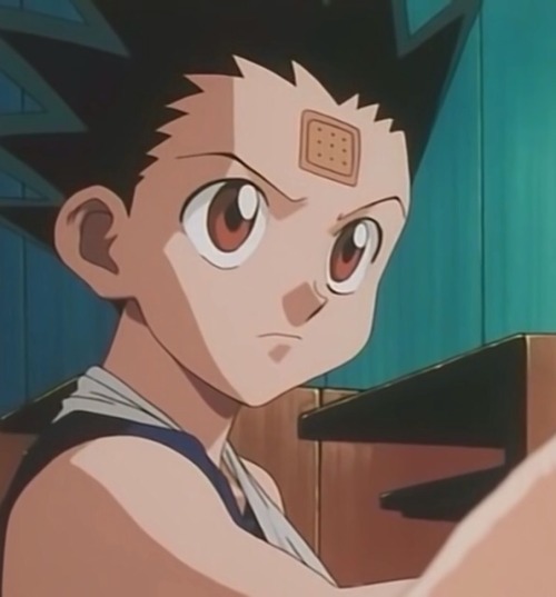 hxh 1999