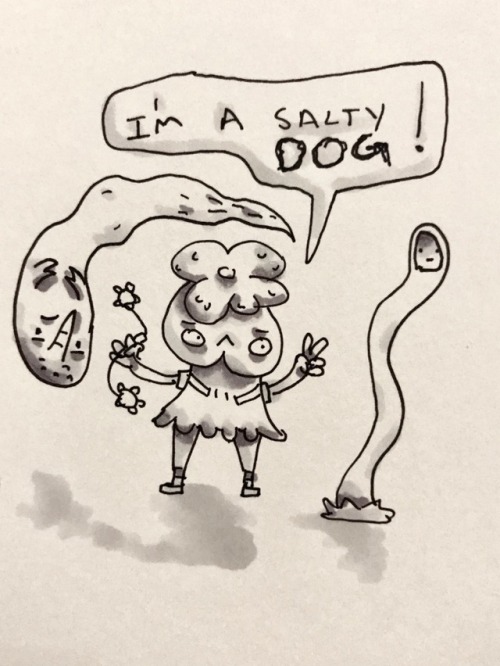 (19) Oh You Salty Dog!!!