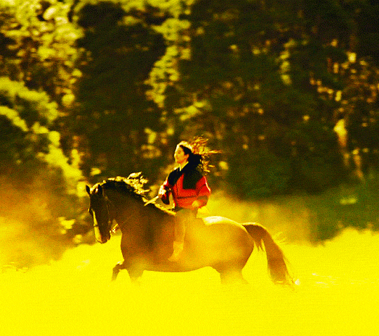 stark:The flower that blooms in adversity… is the most rare and beautiful of them all.Mulan (2020) d