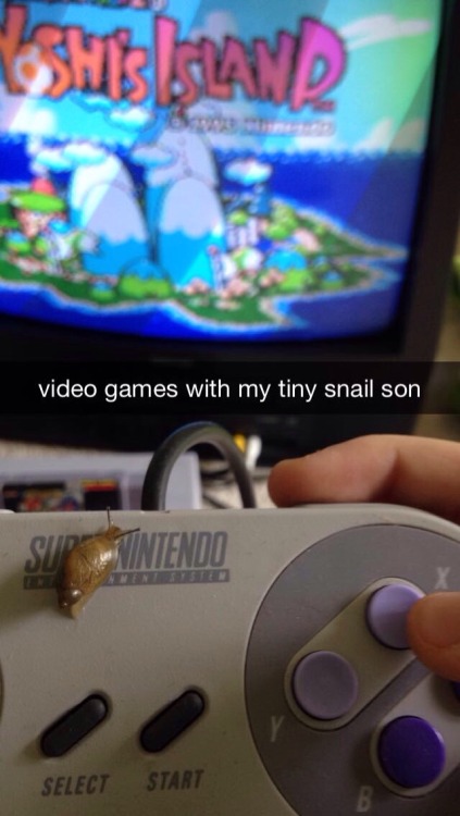 mudkipful:  mudkipful:  suck-my-otaku-ass:  gayswimlord:  Reasons not to add me on snapchat:  What do you mean? I want to know more about you tiny snail son  did he graduate   i can see toriel doing this before frisk came along 