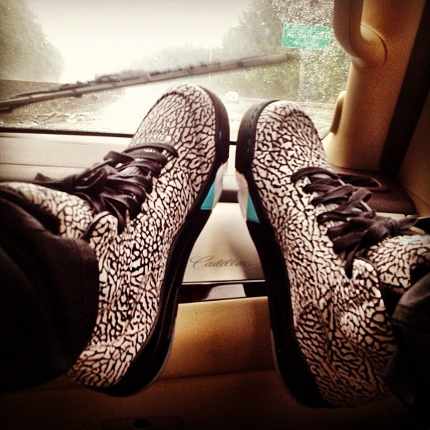 officialaugustalsina:  .. 