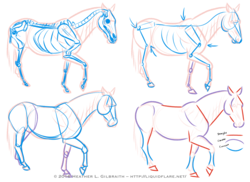 rheallart:– Horse Drawing Tips – Hello, all! I thought I’d put this together to try and give peopl