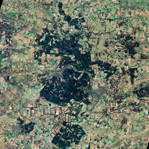 A humanmade forest In this image from the Advanced Land Imager on NASA’s EO-1 satellite, you s