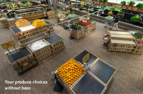 kqedscience:Whole Foods Shows Customers the Bleak Future of Produce Without Bees“The decline in bee 