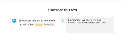 hencegoodfortune:wtfduolingo:I’m worried that my introductory Dutch course is on the verge of 